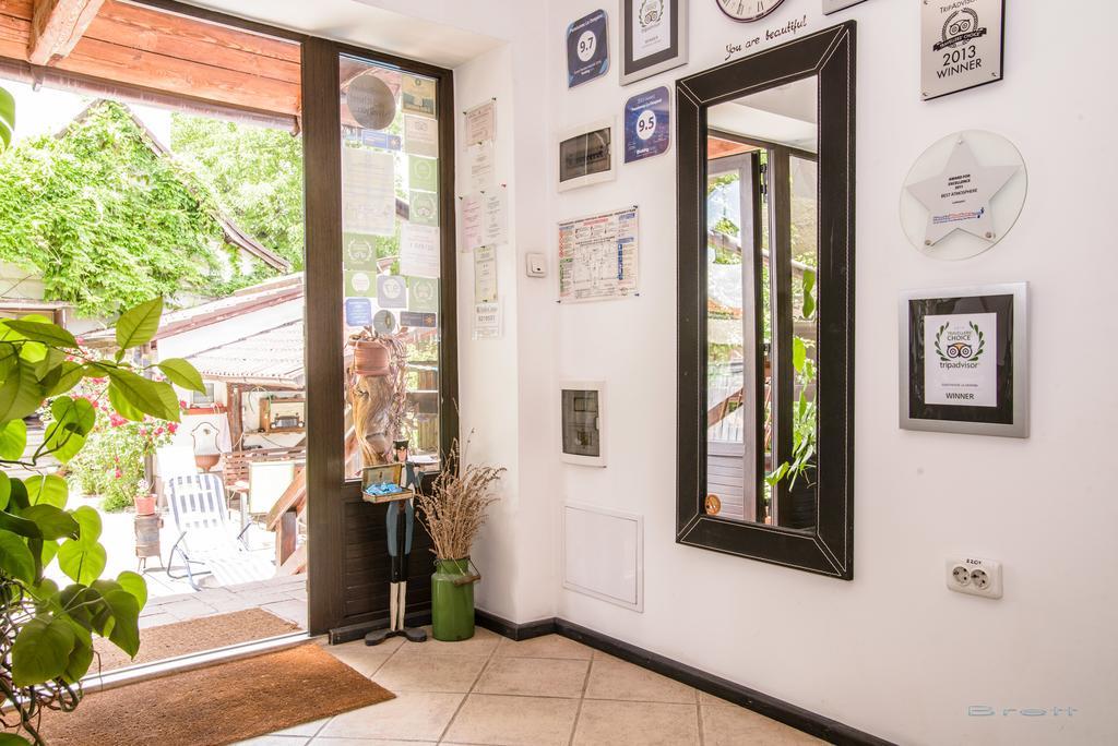 Pensiunea La Despani Braşov Exterior foto