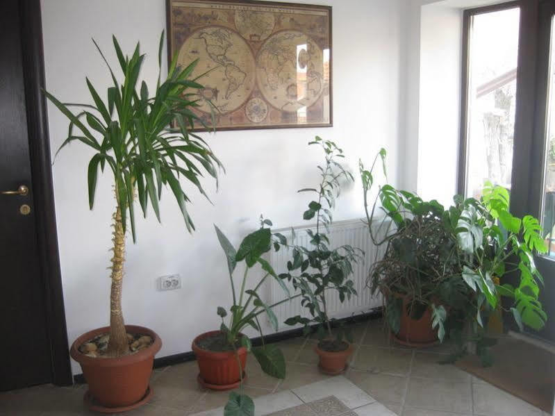 Pensiunea La Despani Braşov Exterior foto
